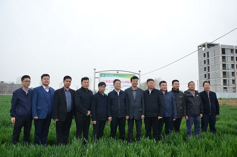 1553738692488794.jpg 11.jpg